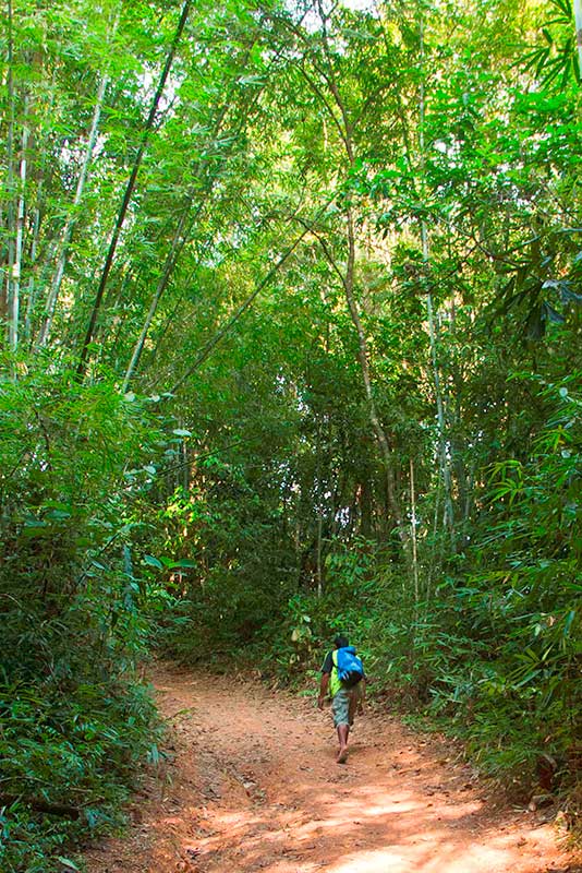 Khao Sok Trekking - Self-Guided