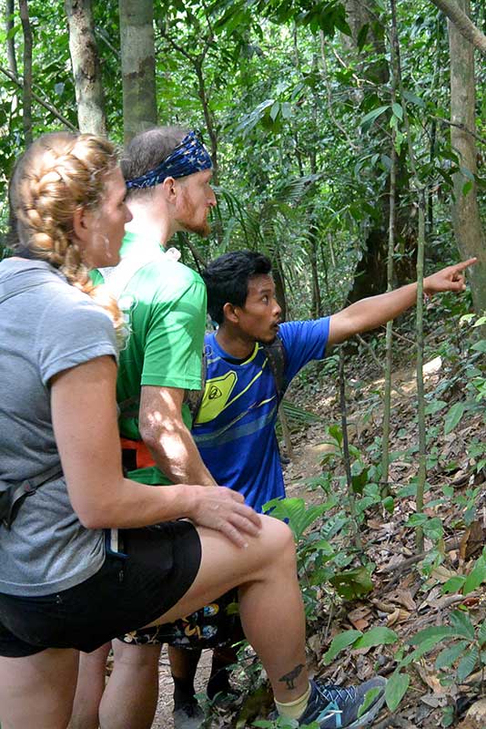 khao Sok Trekking - Guided