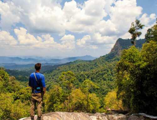 Khao Sok Trekking and Hiking FAQs