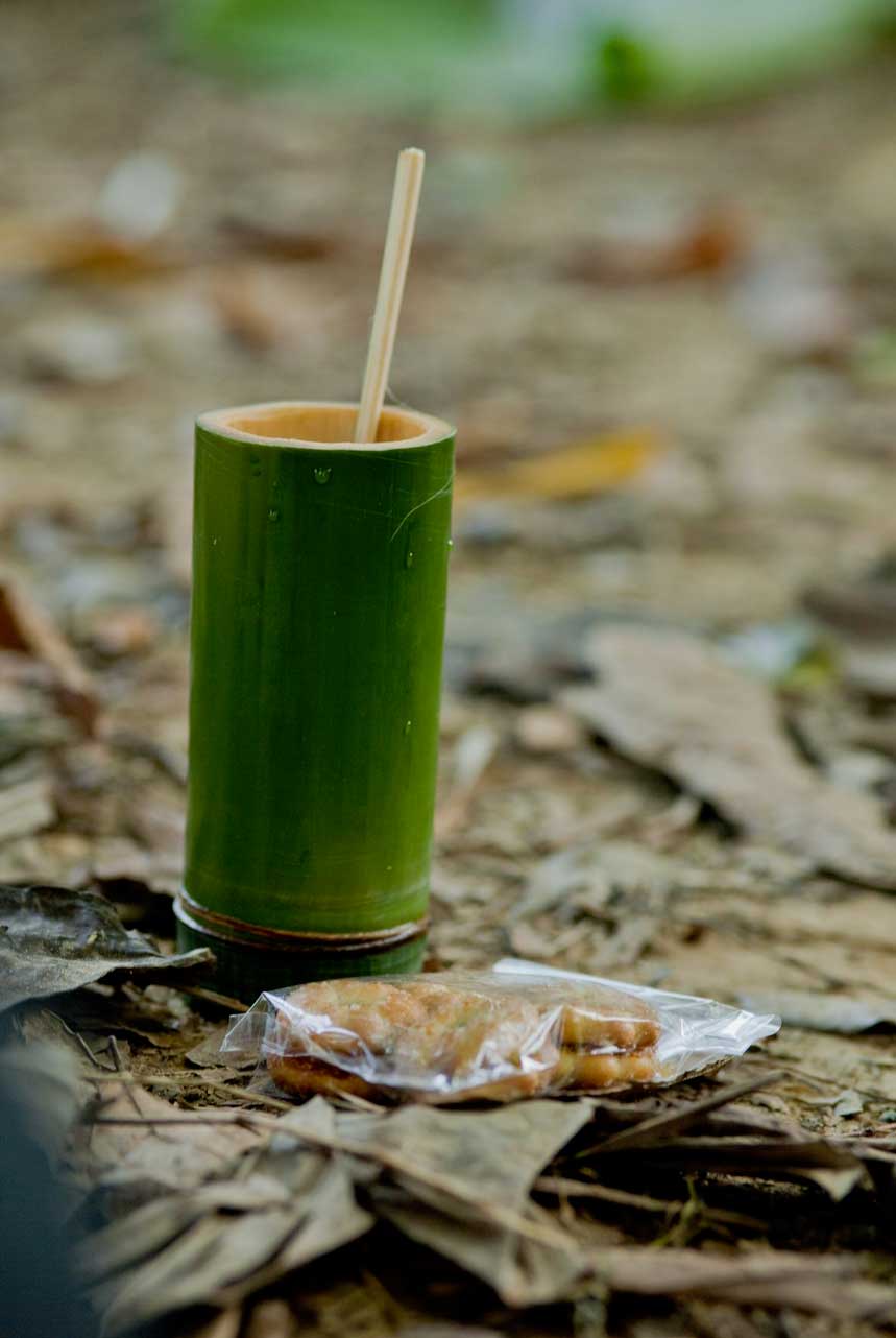 Thailand jungle tea