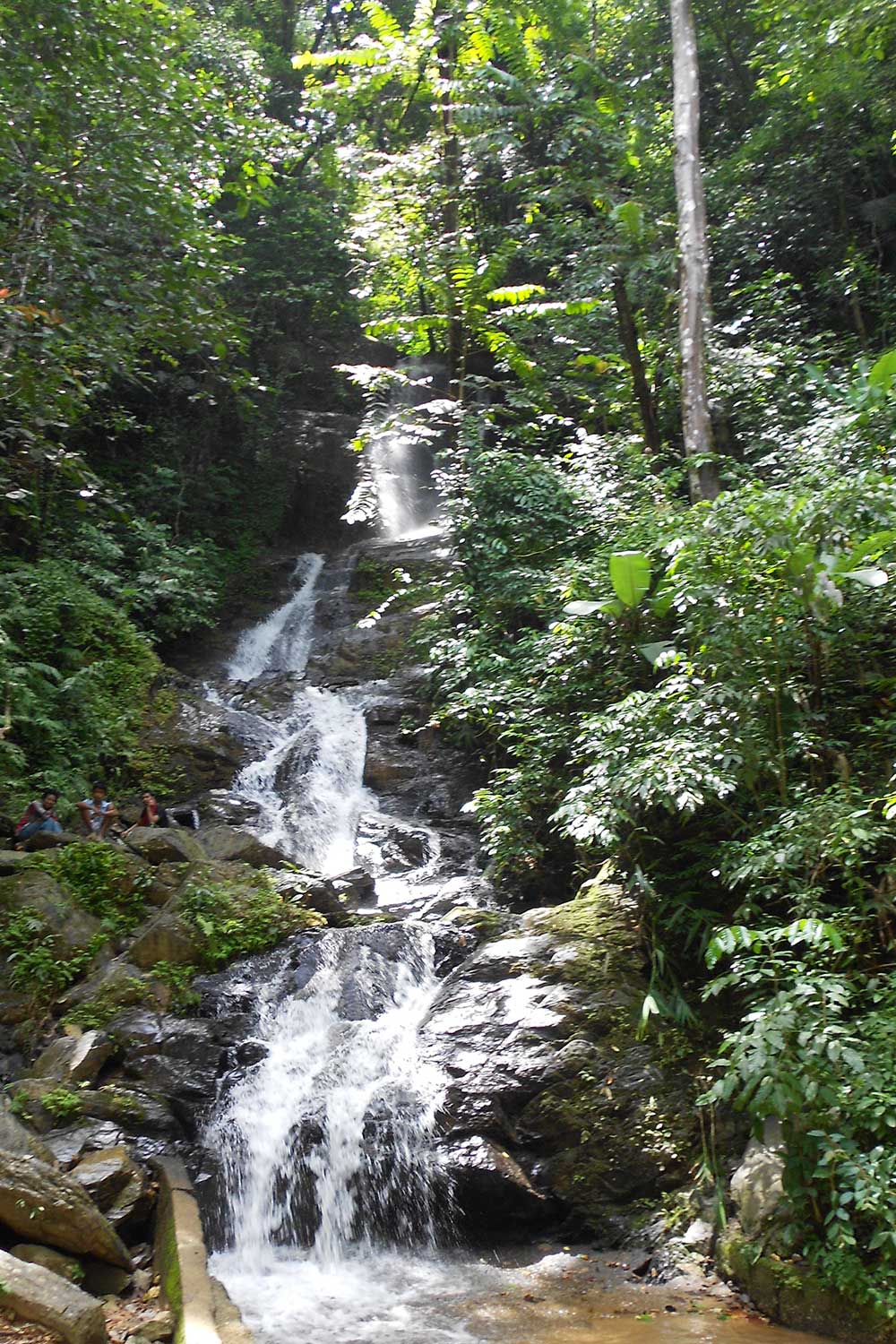 Best of Khao Sok