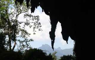 Unique Khao Sok tours