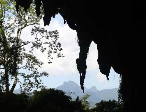 Unique Khao Sok tours