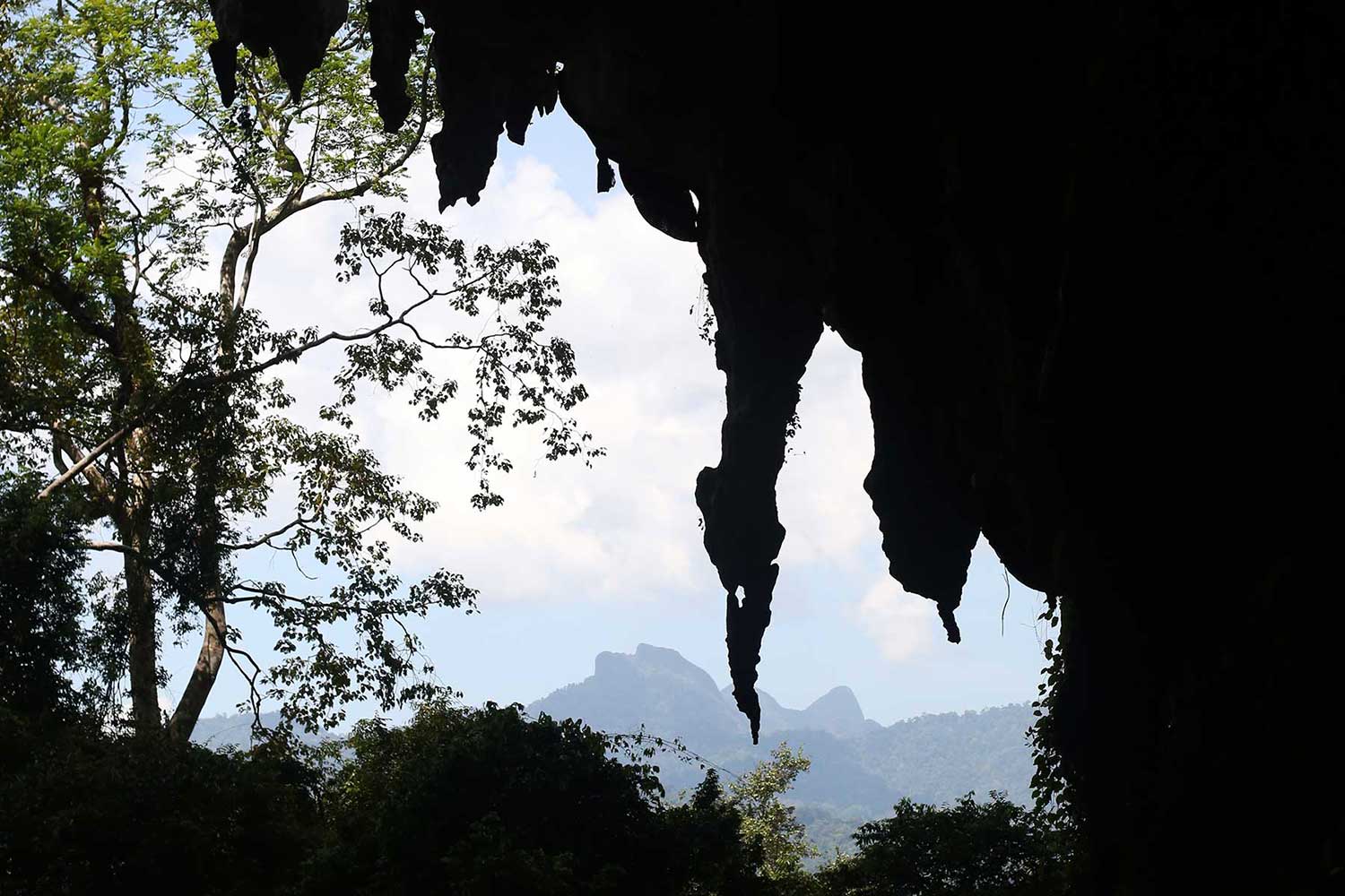 Unique Khao Sok tours