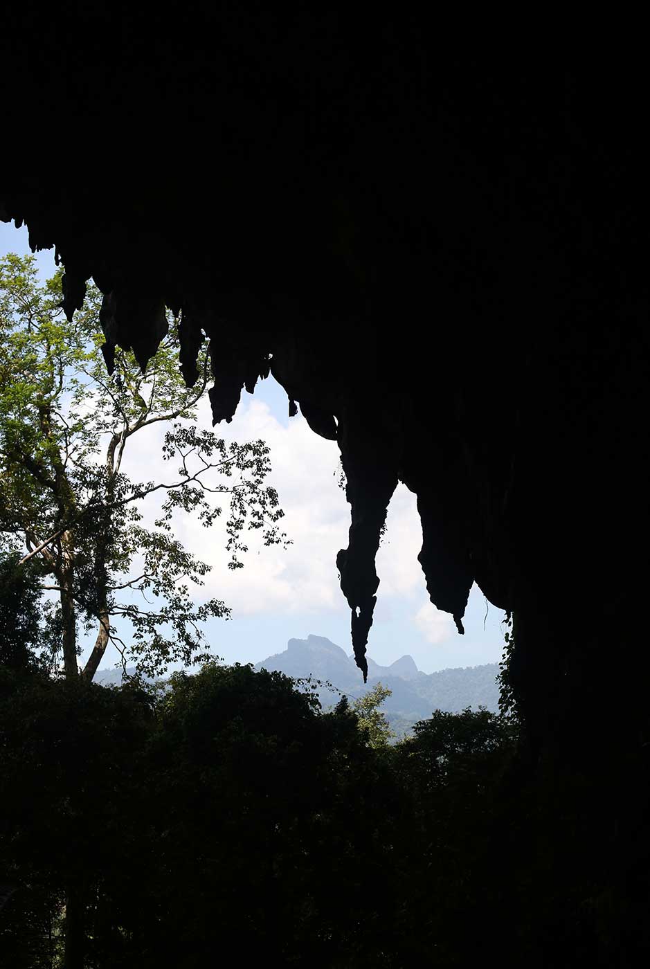 Things to do in Khao Sok national park