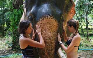 guide to the best Khao Sok elephant sanctuary