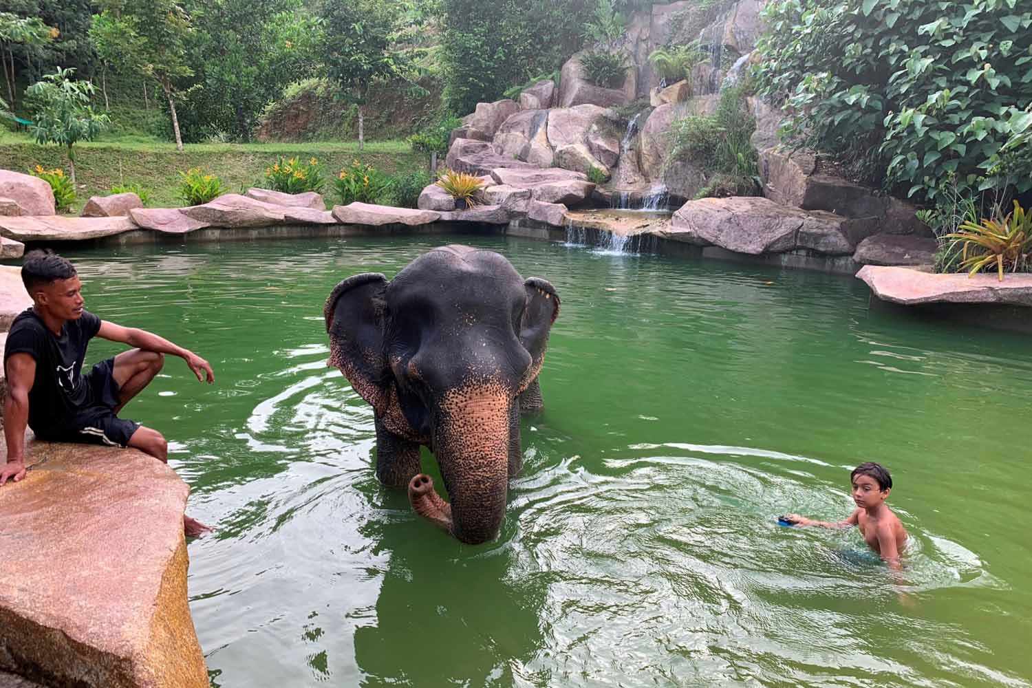 Elephant bath