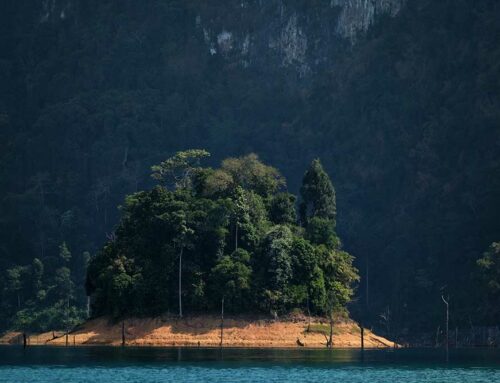 History Of Khao Sok National Park