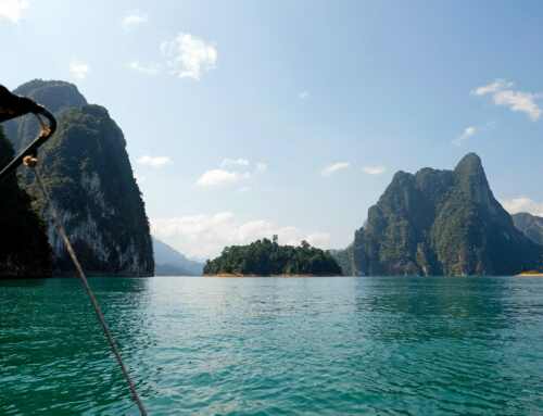 Impact of Coronavirus at Khao Sok