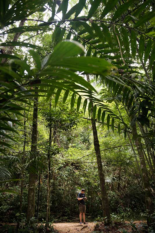 Trekking in Klong Phanom National Park