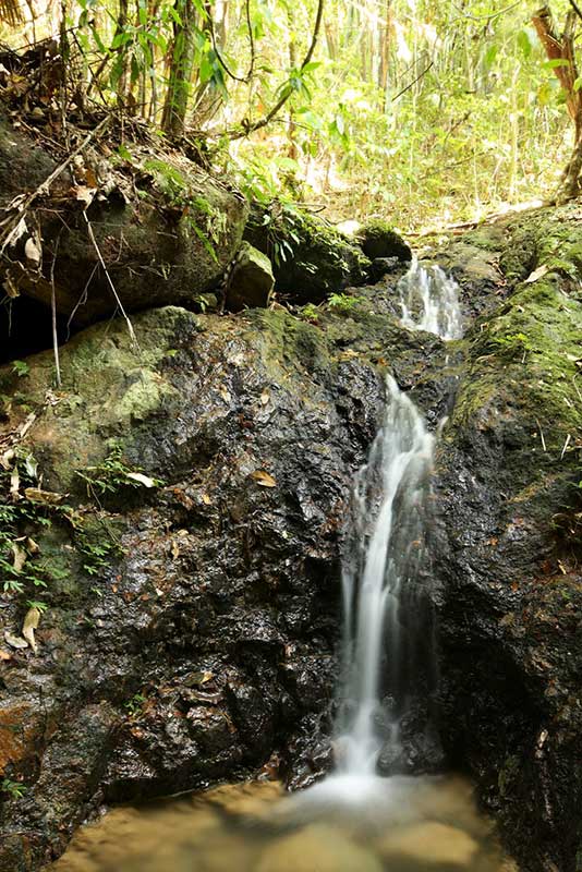 Khao Sok trekking tours