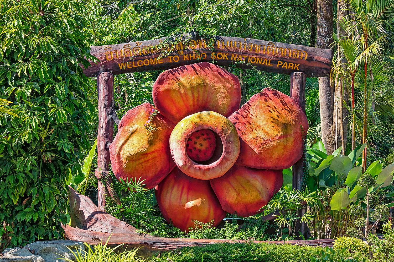 Visit Khao Sok national park