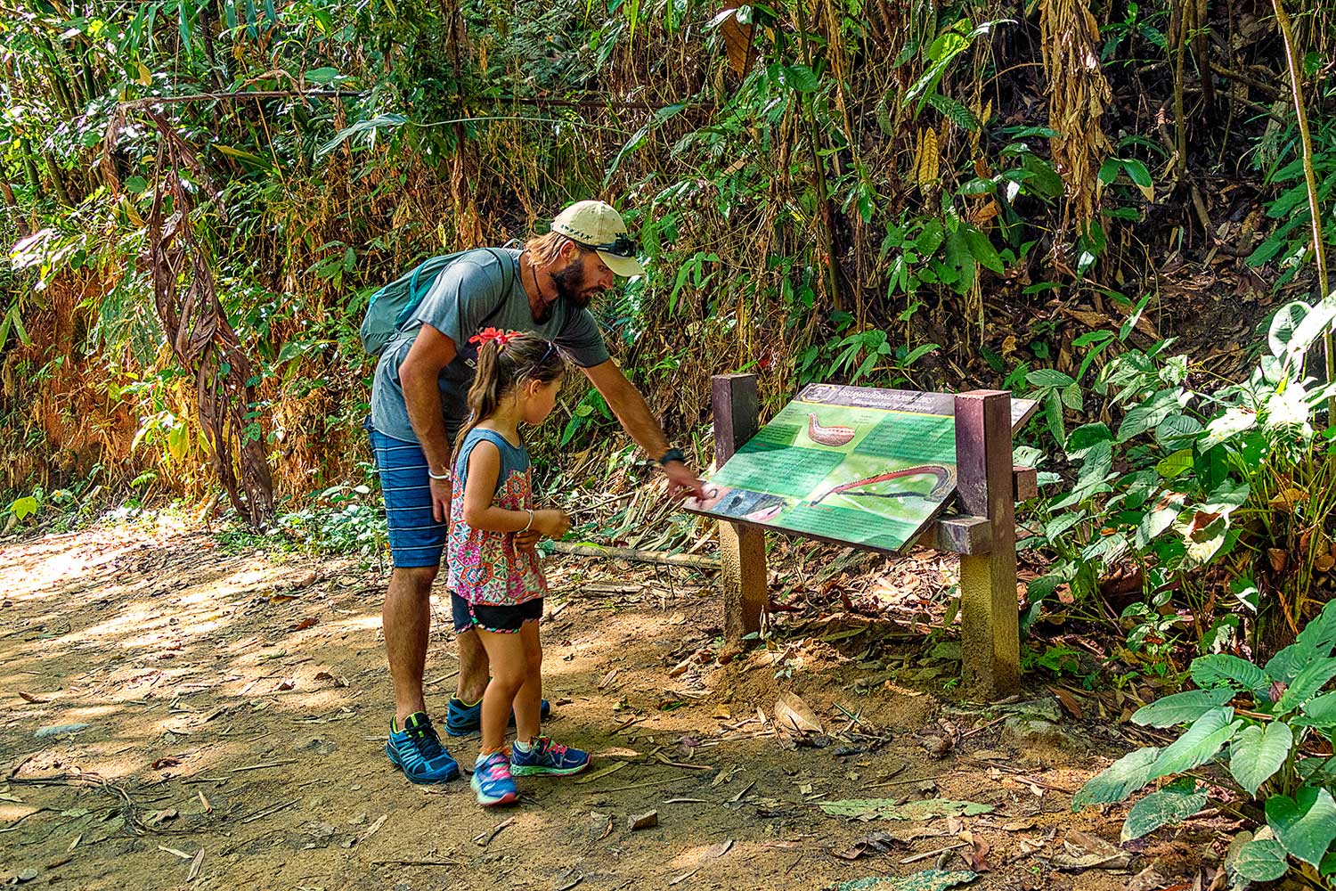 Khao Sok information