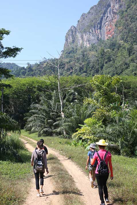 Special Khao Sok tours