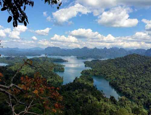 Khao Sok Lake Hikes