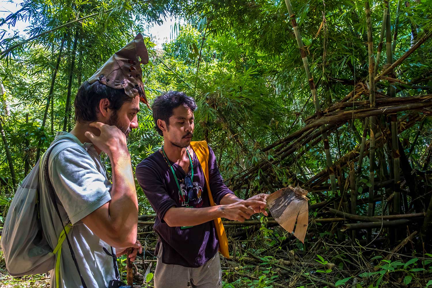 Khao Sok trekking tours