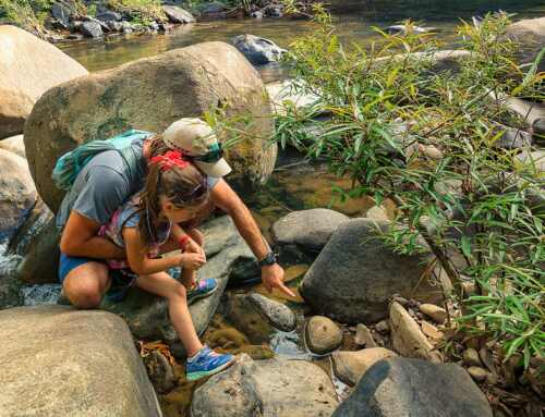 How to make the most of your time at Khao Sok