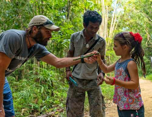 Special Khao Sok tours